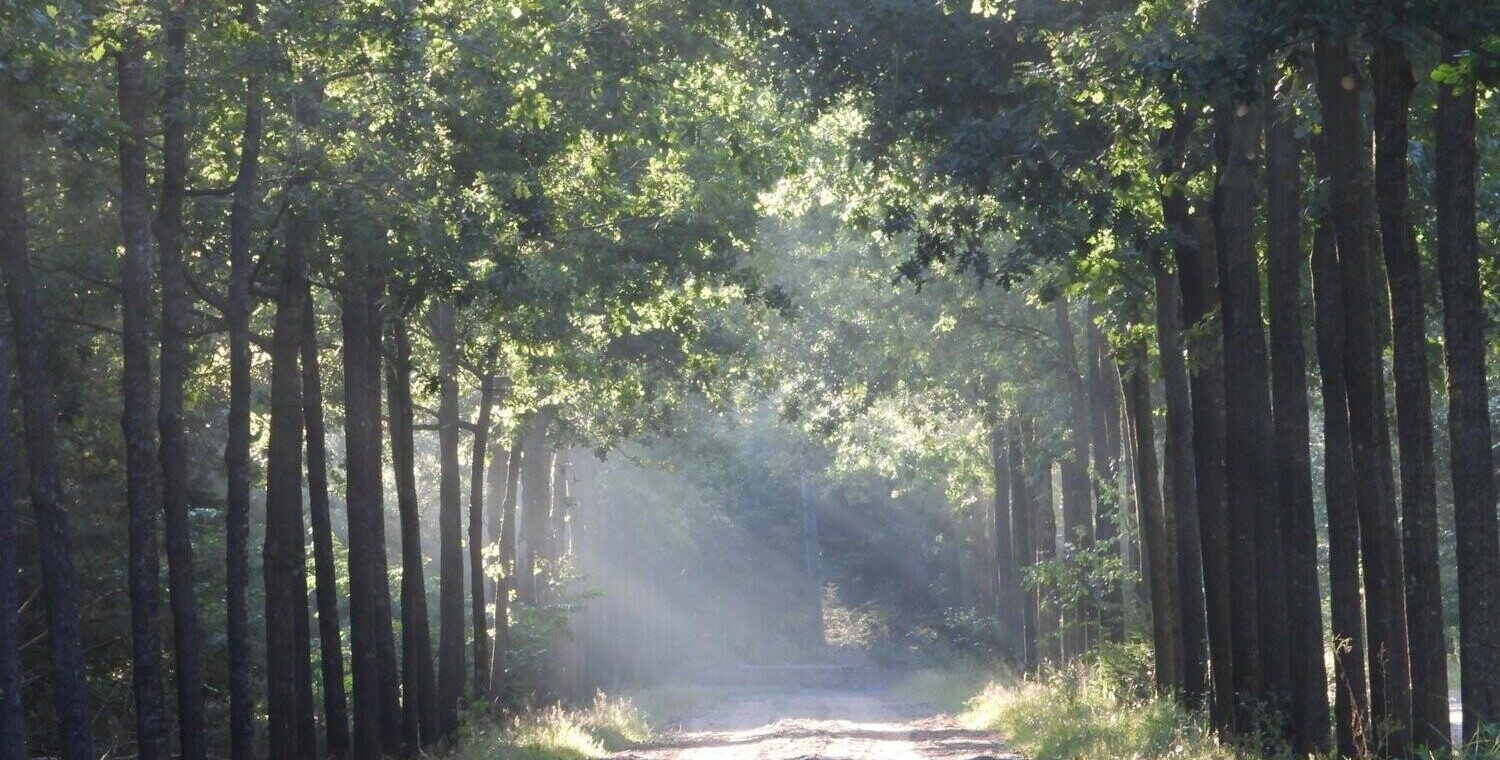 Welkom op onze nieuwe website!