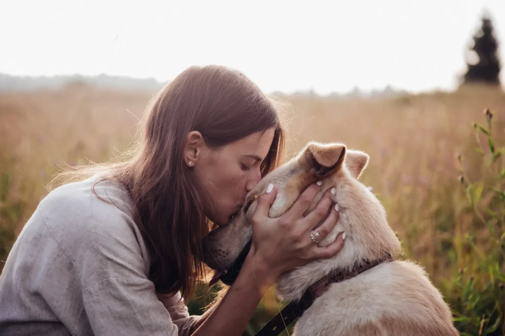 hond cremeren amsterdam