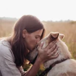 hond cremeren amsterdam