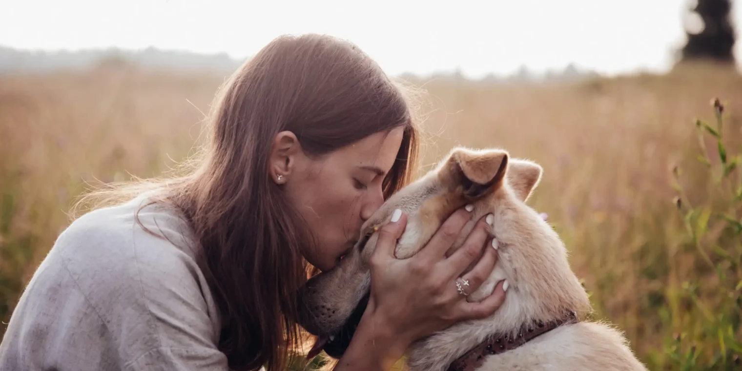 Wat kost een hond cremeren?