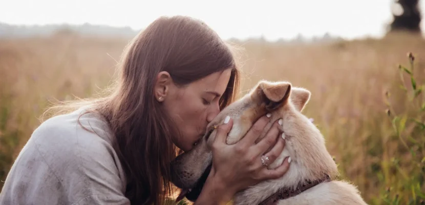 Wat kost een hond cremeren?